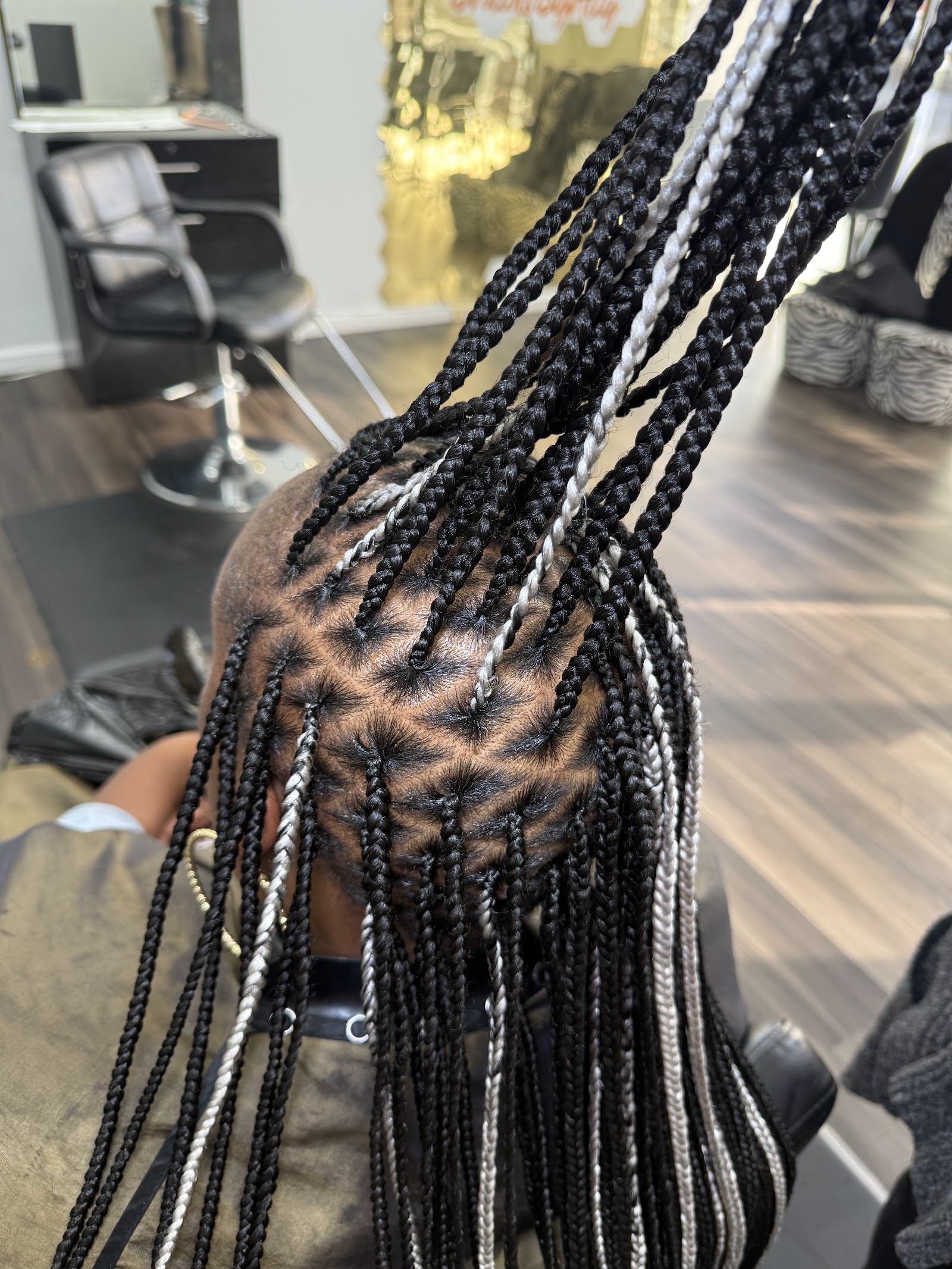 BRAIDS BY ALIY