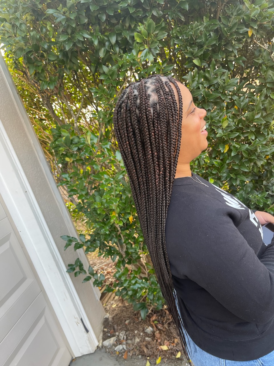 Small Box Braids (Standard Mid-Back Length)