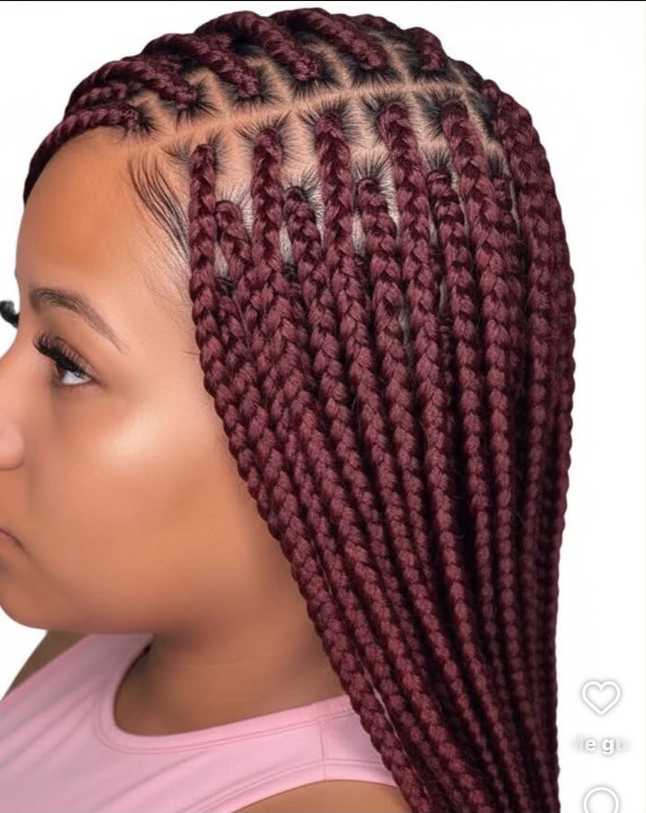 Small-Medium Box Braids – Mid Back