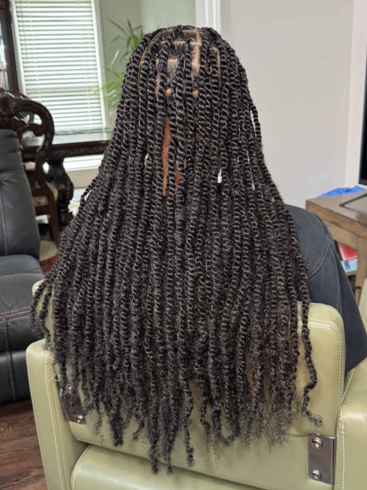 Smedium Kinky Twists Waist Length