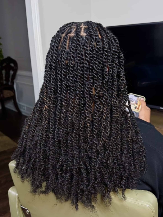 Small Kinky Twists Midback