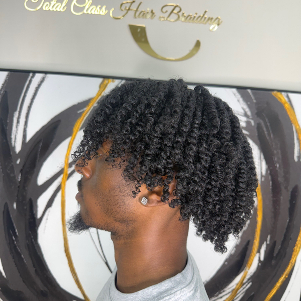 Mini Braids & Twist
