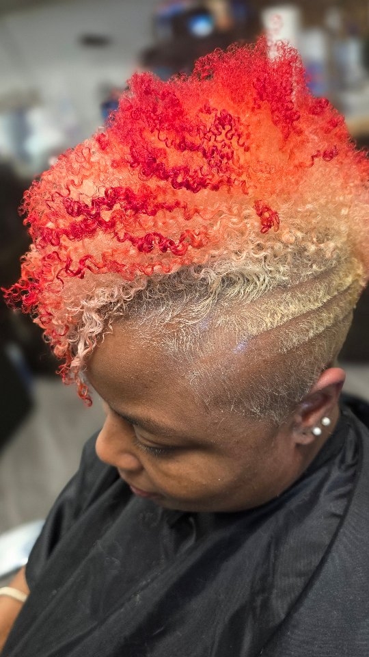 Tress and Shears Hair Salon