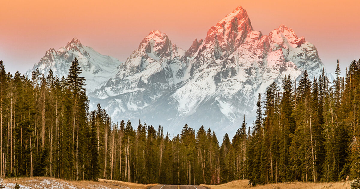 Jackson Hole Expands Their Bike Park Ski Butlers