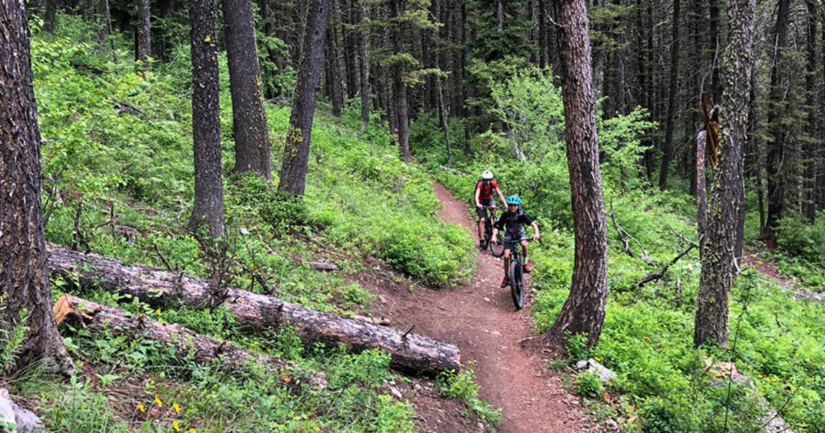 Mountain Biking in Jackson Hole Ski Butlers