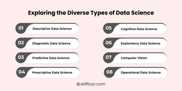 Exploring the Diverse Types of Data Science