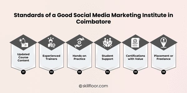 Standards of a Good Social Media Marketing Institute in Coimbatore