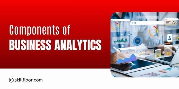Understanding the Components of Business Analytics