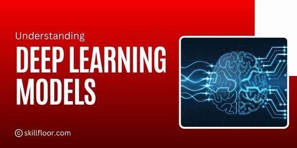 Understanding Deep Learning Models