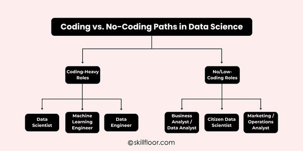 Coding vs. No-Coding Paths in Data Science