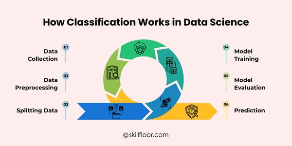 How Classification Works in Data Science