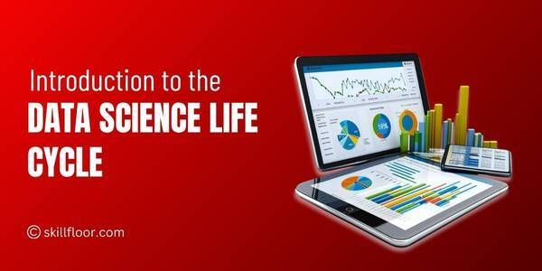 The Data Science Life Cycle