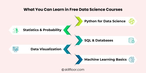 What You Can Learn in Free Data Science Courses