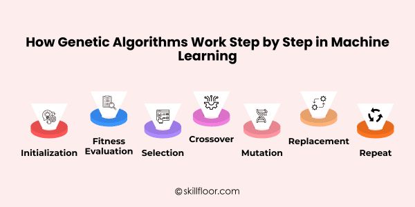 Genetic Algorithms Work Step by Step in Machine Learning