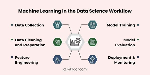 Machine Learning in the Data Science Workflow