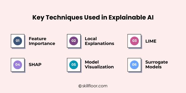 Techniques Used in Explainable AI