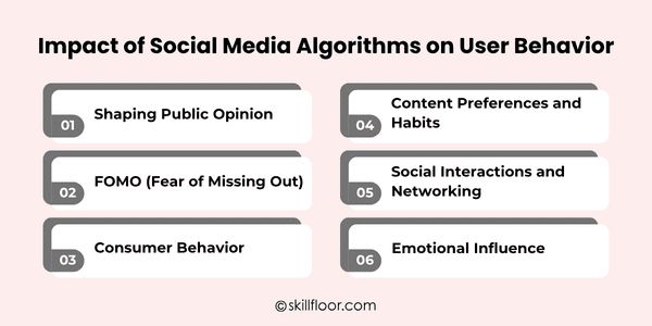 Impact of Social Media Algorithms on User Behavior