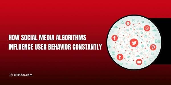Impact of Social Media Algorithms on User Behavior