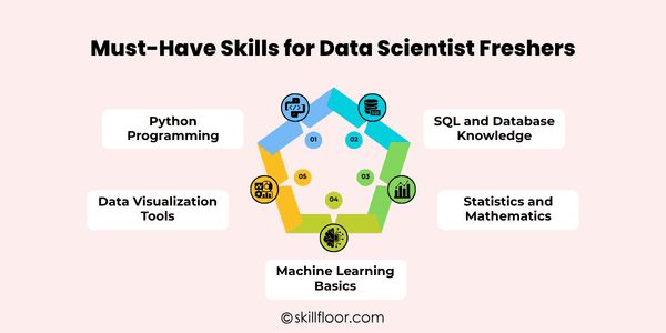Must-Have Skills for Data Scientist Freshers