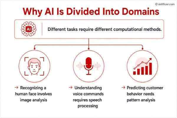 Why AI is Divided into Domains