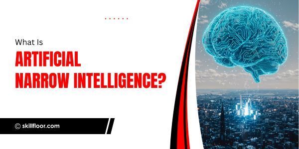 What Is Artificial Narrow Intelligence?