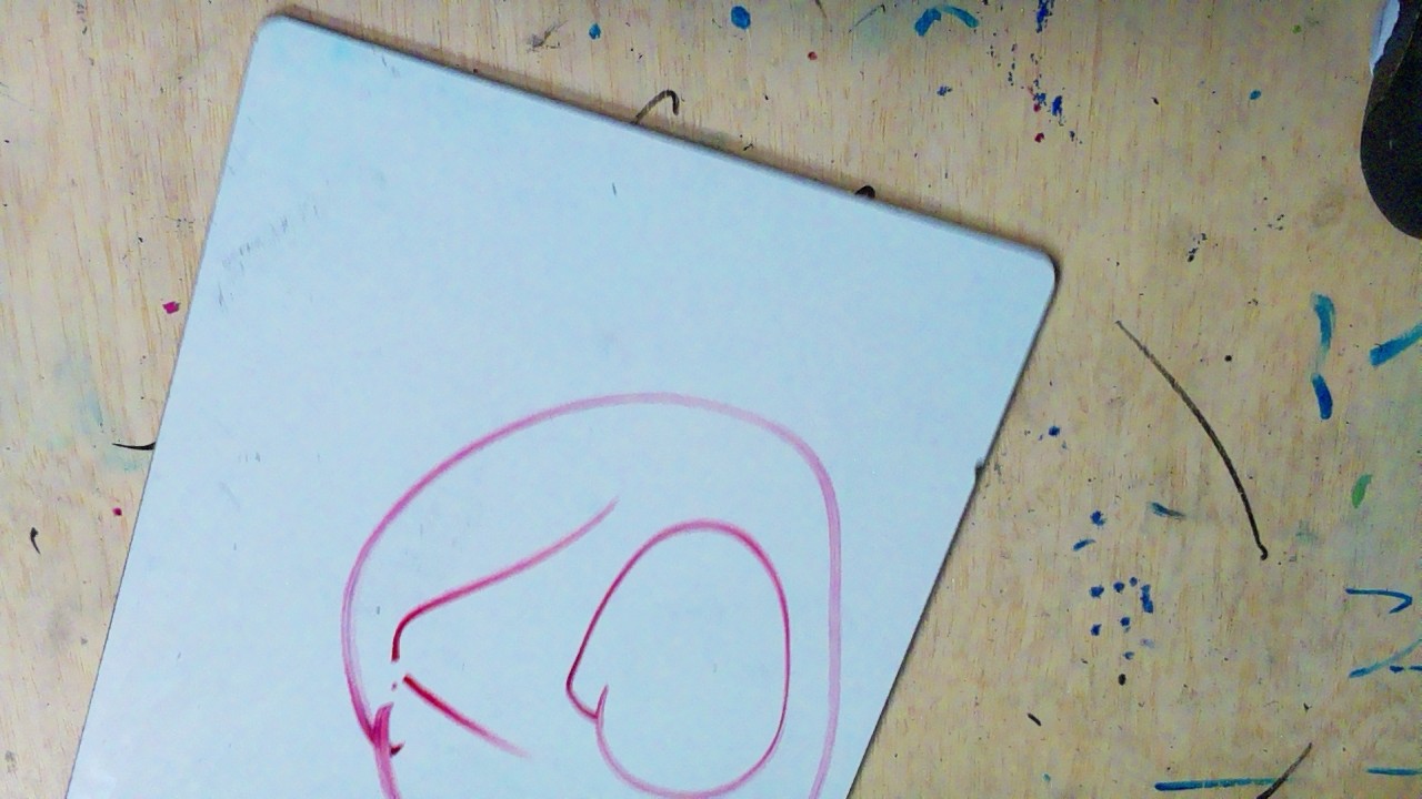 Frame 232