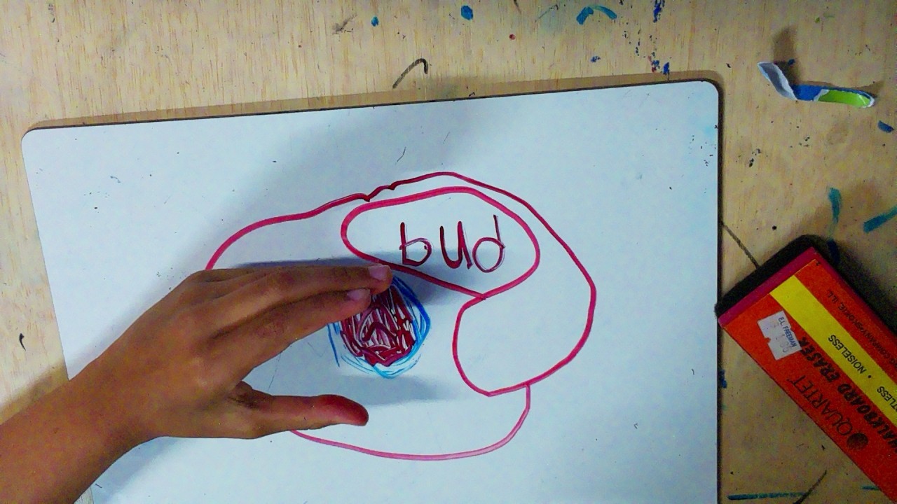 Frame 12