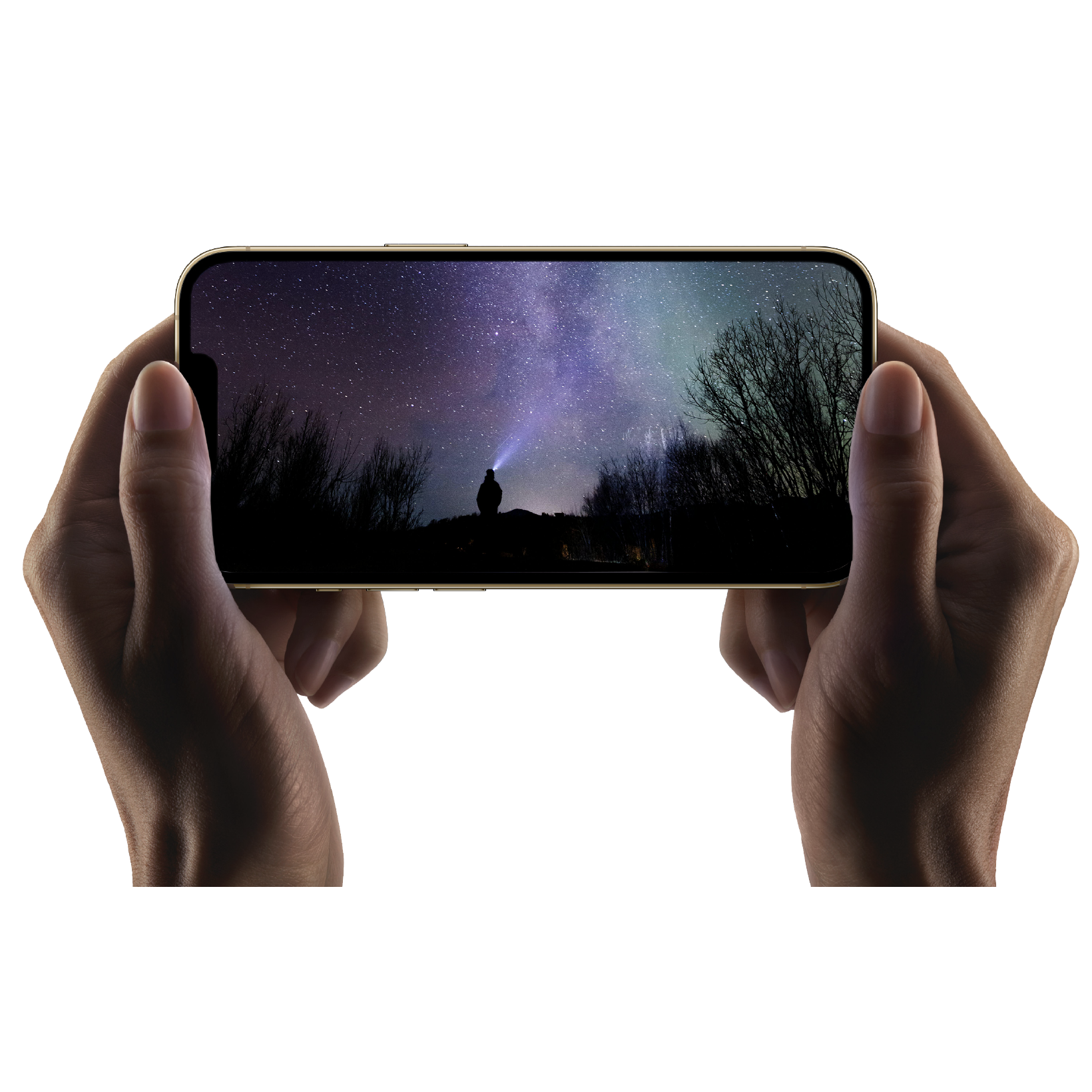 Apple iPhone 13 Pro  (128 GB) (Renewed)