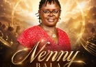 Never Give Up by Nenny Bala