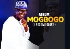 Oluwafemi Baba Ologo - Mogbogo