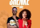 Pianissimo - Shenke Baby