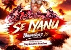 Se Iyanu - Damikaz