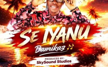 Se Iyanu - Damikaz
