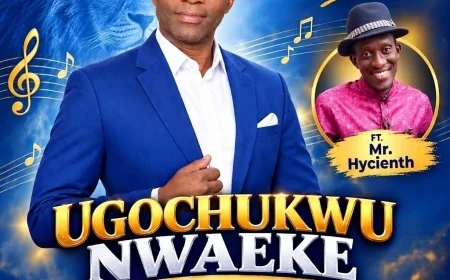 Ugochukwu Nwaeke - Omechiri Odum Onu