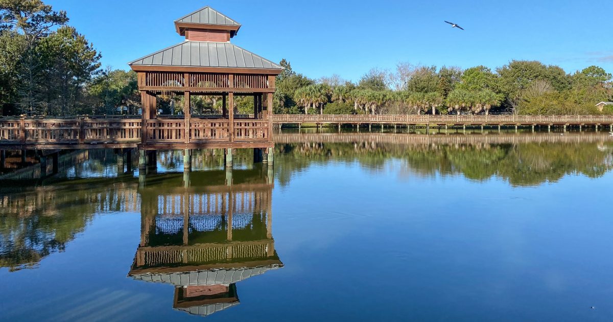 Birding Bird Island Park