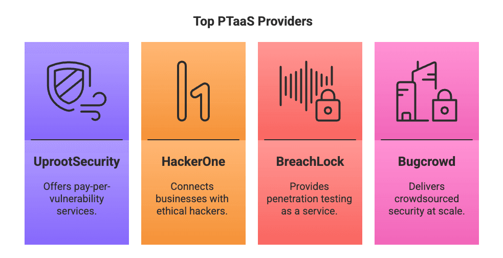 Top PTaaS Providers