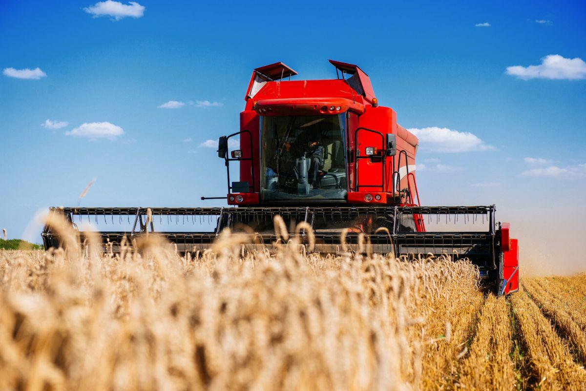 Agriculture