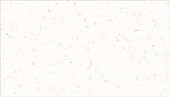 Mini Environment Moonrock Blank Cards - Flat, 120lb Cover