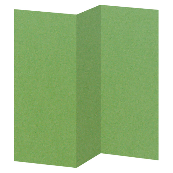 Ruby Brochure, 8 1/2 x 11, Metallic Stardream 81lb Text