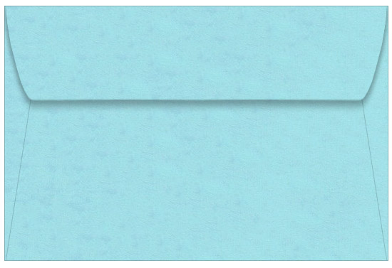 Butcher Extra Blue Envelopes - 6x9 Dur-O-Tone 6 x 9 Booklet 60T