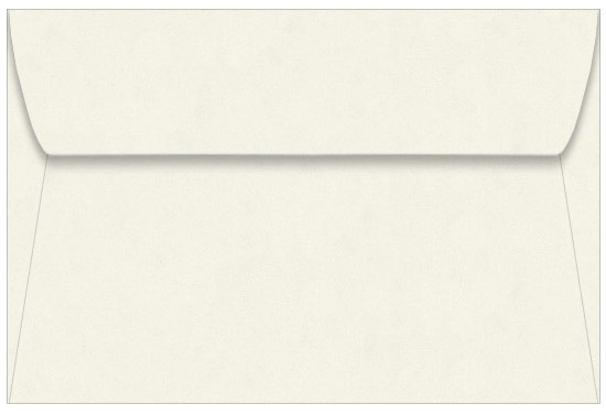 Butcher Off White Envelopes - 6x9 Dur-O-Tone 6 x 9 Booklet 60T