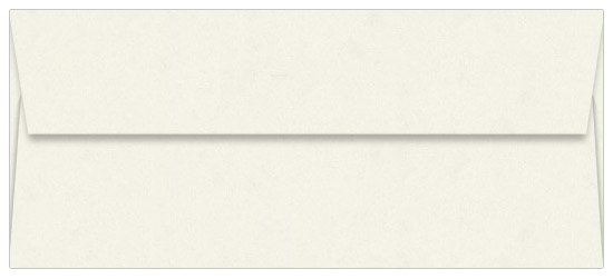 Butcher Off White Envelopes - #10 Dur-O-Tone 4 1/8 x 9 1/2 Straight Flap 60T
