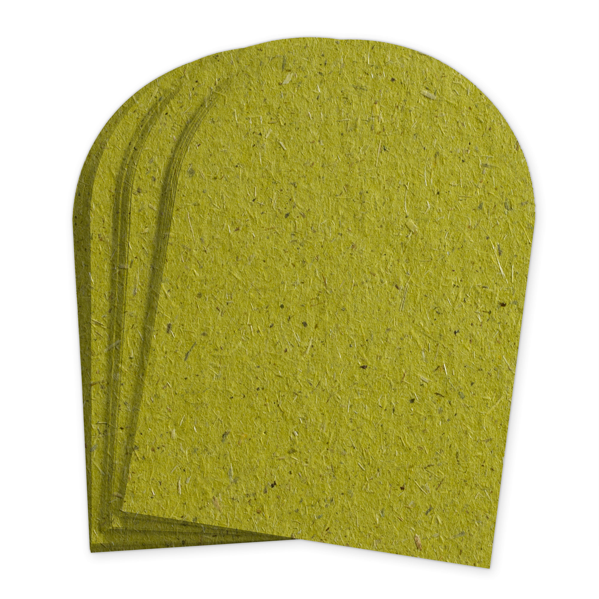 Chlorophyll Green Arch Shaped Invitation Card - A2 4 1/4 x 5 1/2 - Bio Cycle 111C