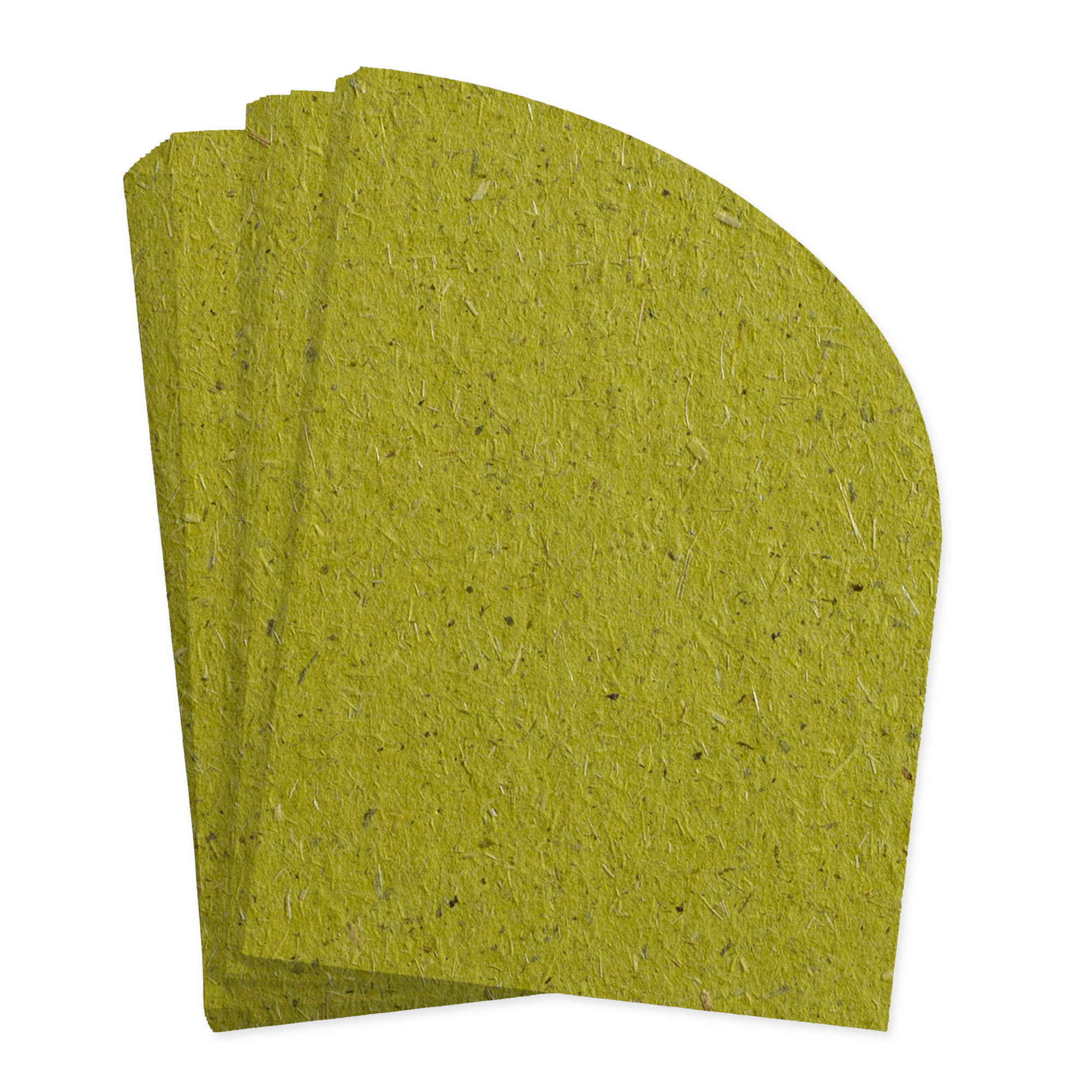 Chlorophyll Green Half Arch Invitation Card - A7 5 x 7 - Bio Cycle 111C