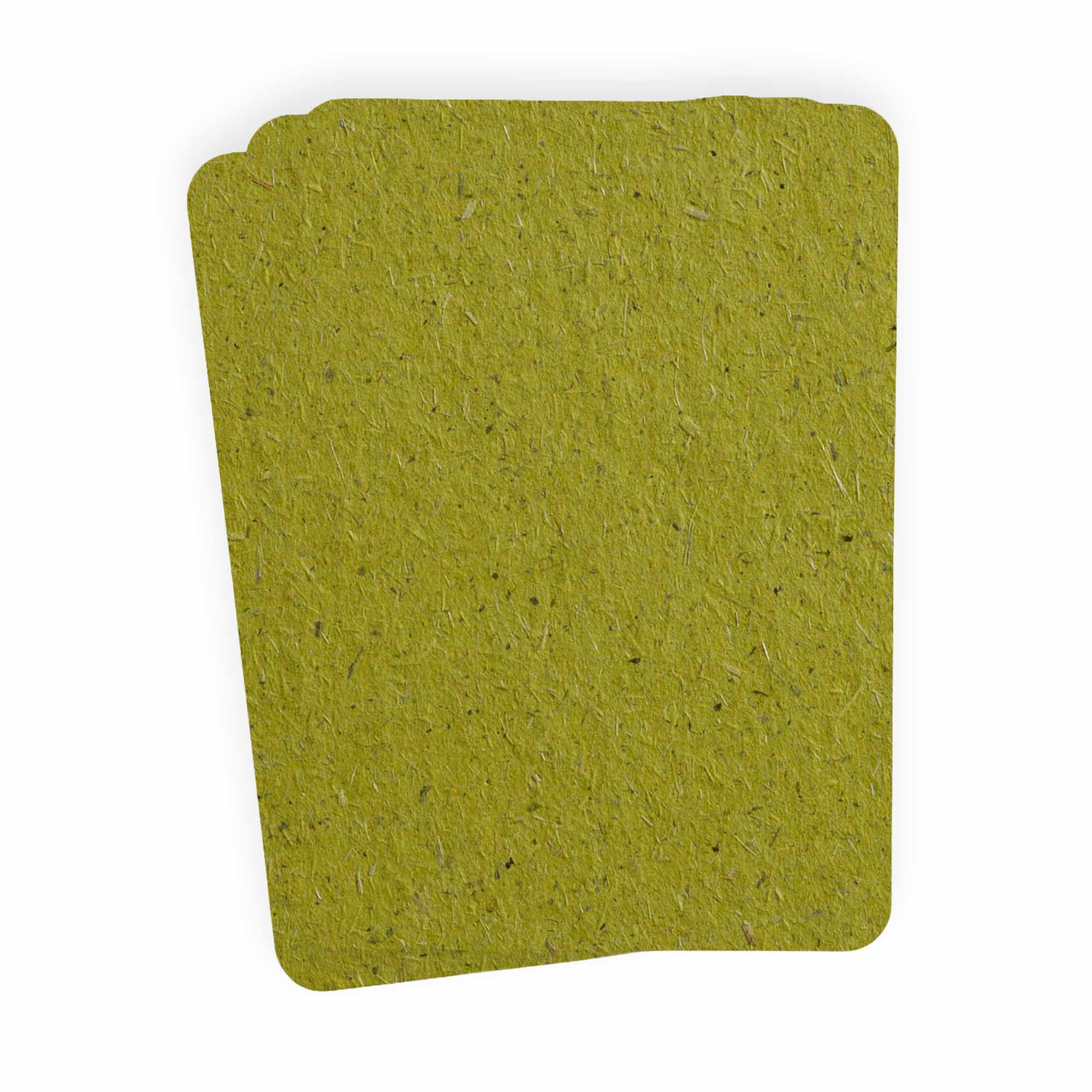 Chlorophyll Green Rounded Edge Invitation Card - A7 5 x 7 - Bio Cycle 111C