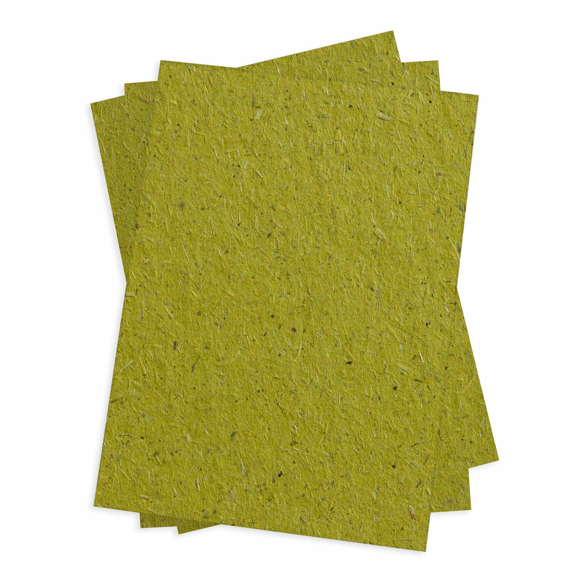Chlorophyll Green Flat Card - A6 Bio Cycle 4 1/2 x 6 1/4 111C