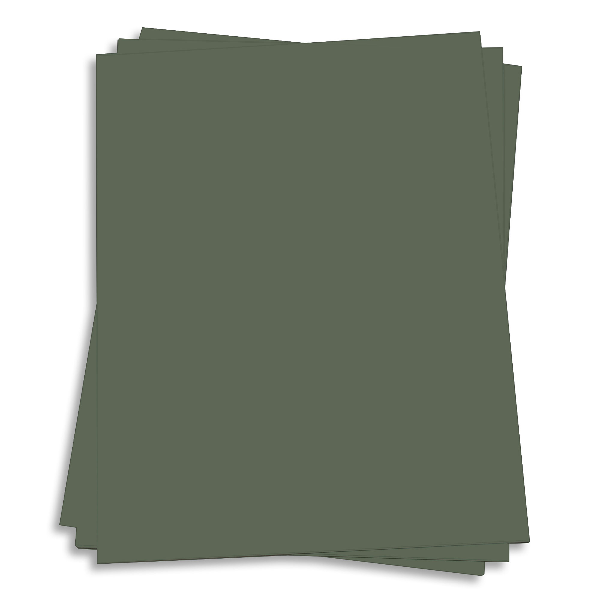 Seedling Green Card Stock - 12 x 18 Gmund Colors Matt 111lb Cover