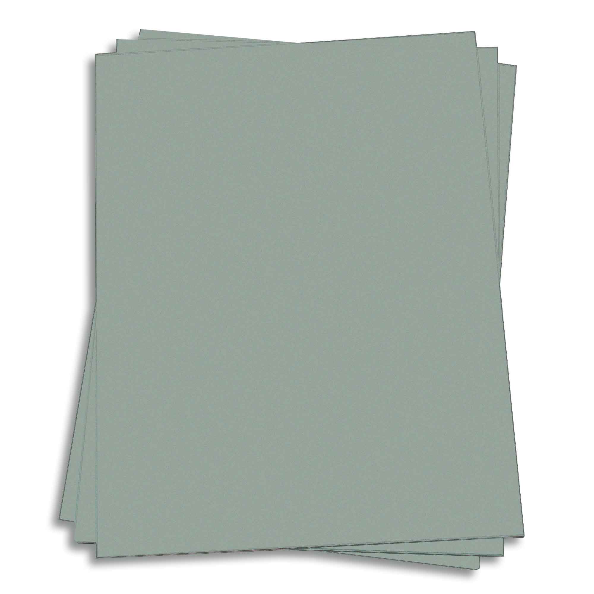 Sage Card Stock - 27 x 39 Gmund Colors Matt 111lb Cover