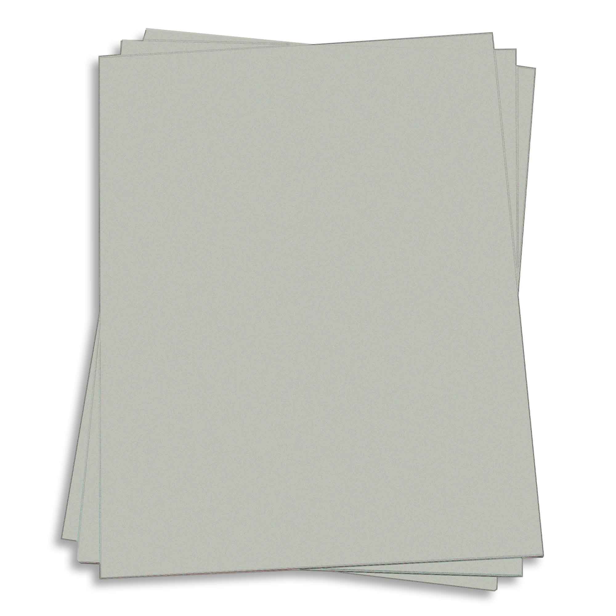 Light Moss Card Stock - 27 x 39 Gmund Colors Matt 111lb Cover
