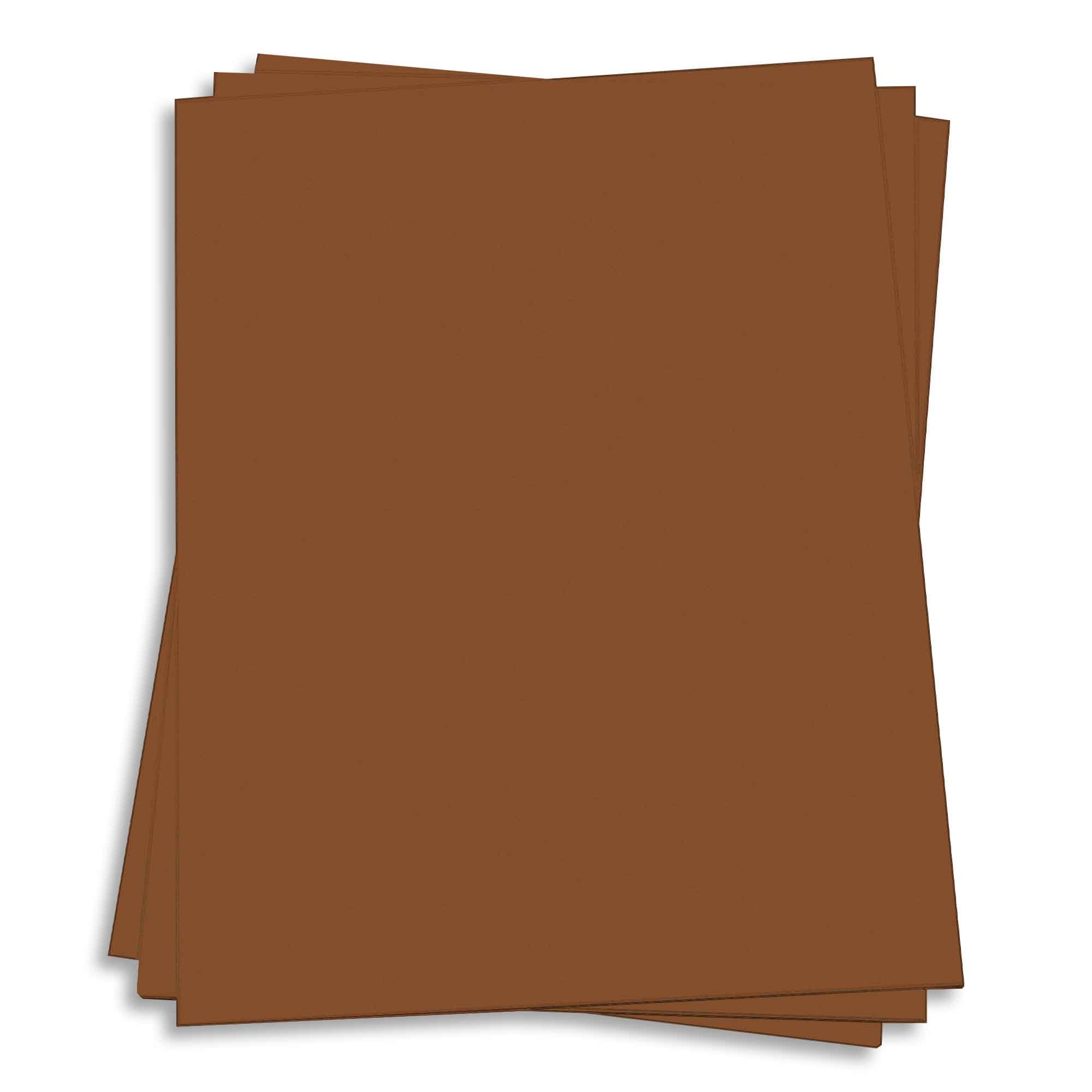 Sepia Brown Card Stock - 27 x 39 Gmund Colors Matt 111lb Cover